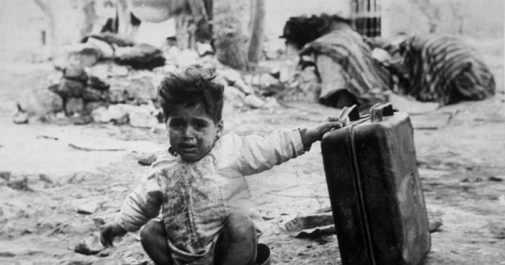 All God’s Creatures; Palestine Minus One; The (Wonderful) Life of Connie Maguire – The Irish Times