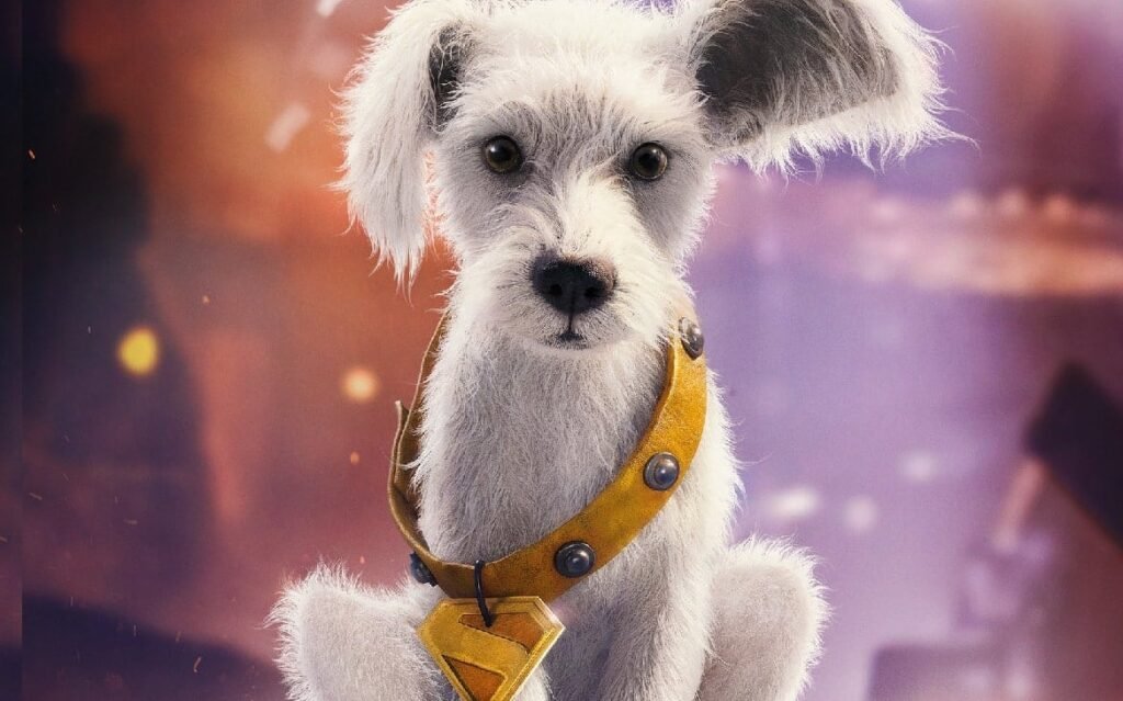 Move over Grogu! DC Shop unveils puppy Krypto merch!