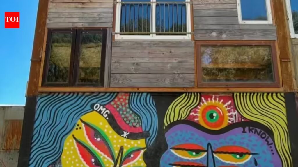 Street graffiti artist adds vibrant French flavour to murals in city | Chennai News