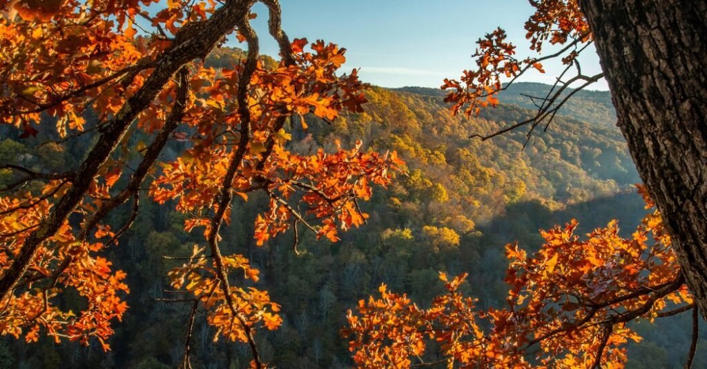 Book Review: ‘Cave Mountain,’ by Benjamin Hale