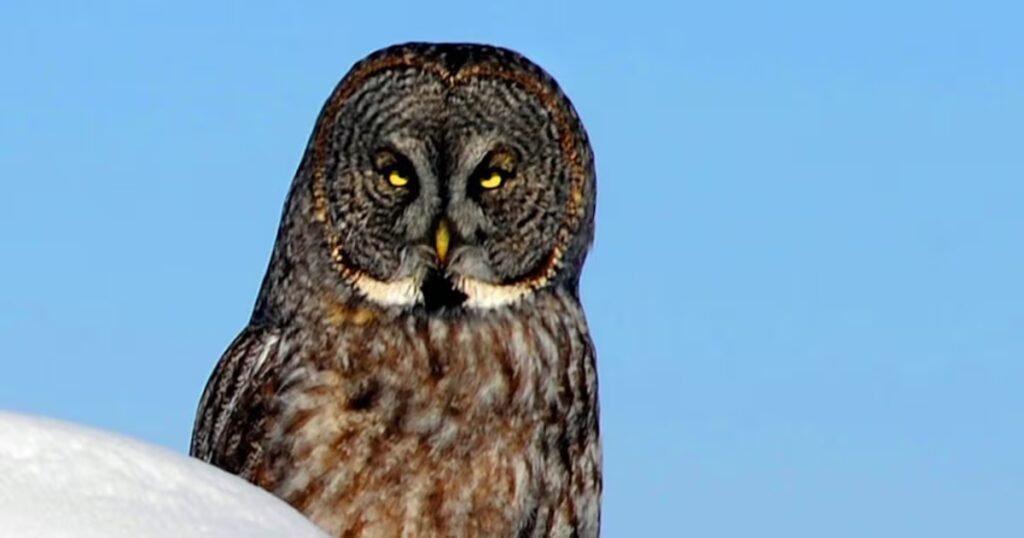 Book review: The latest AQR is another treasury of fine writing Book review: The latest AQR is another treasury of fine writing