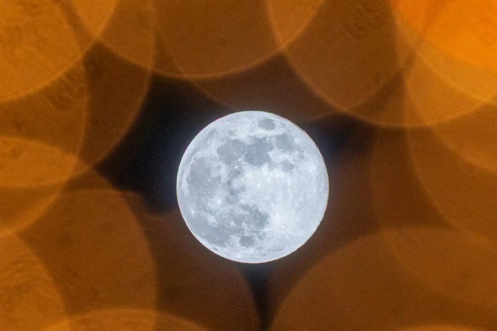 New Scientist. Science news and long reads from expert journalists, covering developments in science, technology, health and the environment on the website and the magazine.