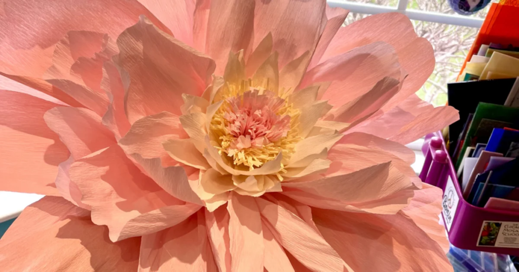 ‘Unfolded’ is a big Hamilton-wide celebration of paper; festival is this week and weekend | Event Listings ‘Unfolded’ is a big Hamilton-wide celebration of paper; festival is this week and weekend | Event Listings