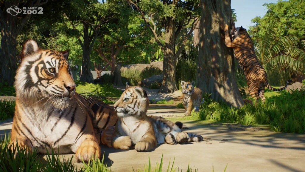 Planet Zoo 2 Coming This Year, Featuring Aquatic and Flying Animals