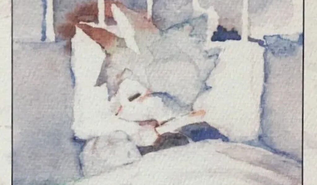 SLEEPY CHILD is bittersweet and kind A furry child lies in bed.